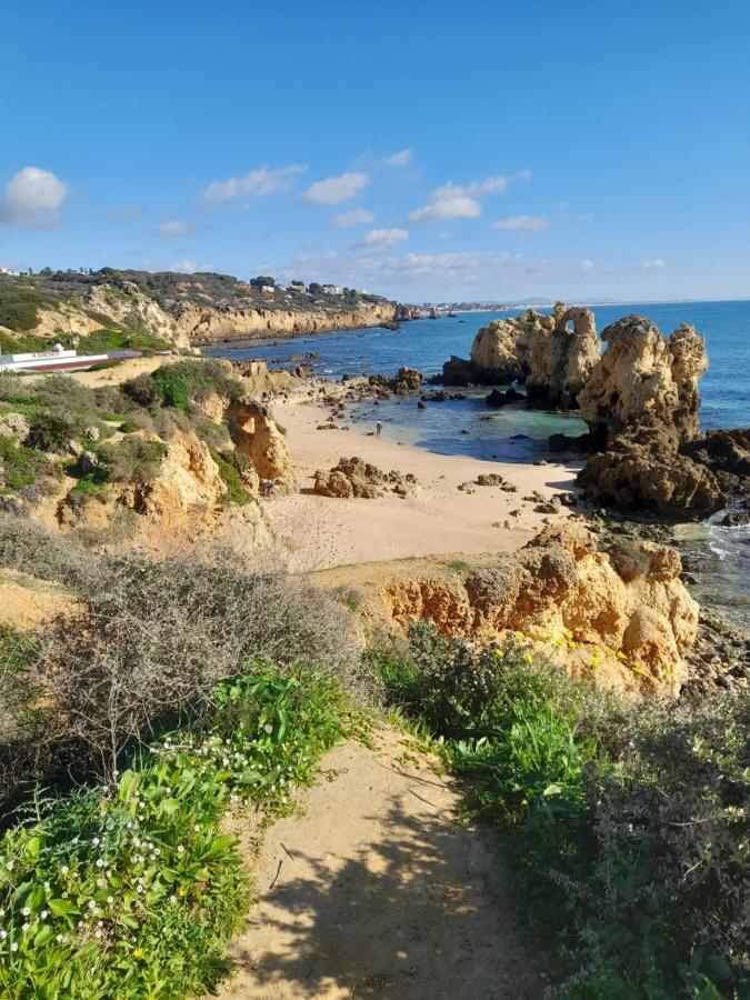 Tropicana One Bedroom Flat T1 In Albufeira Gale Close To 8 Beaches מראה חיצוני תמונה